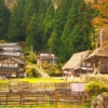 aini（アイニー）とは？1日体験を開催して散歩しながら稼ぐことも！（旧 TABICA（タビ